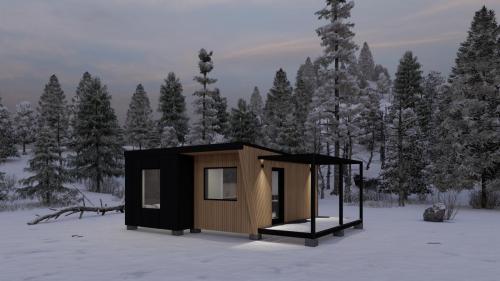 Randare exterior iarna 1