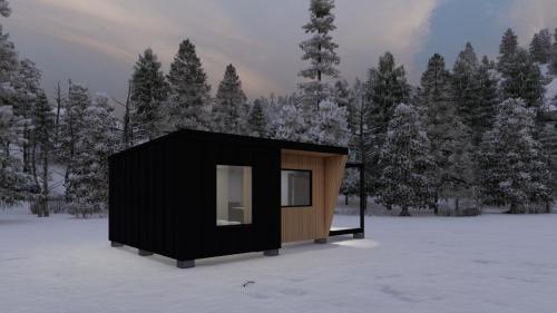 Randare exterior iarna 2