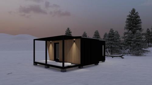 Randare exterior iarna 4